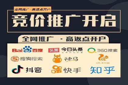 SEM运营策略案例分析